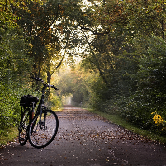 Your Summer Bucket List: 50 Fun Things to Do This Season
