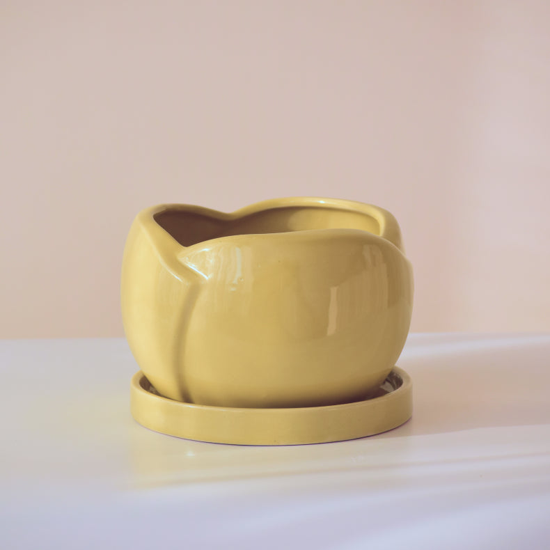Green Ceramic Planter with Bottom Tray Secondary image