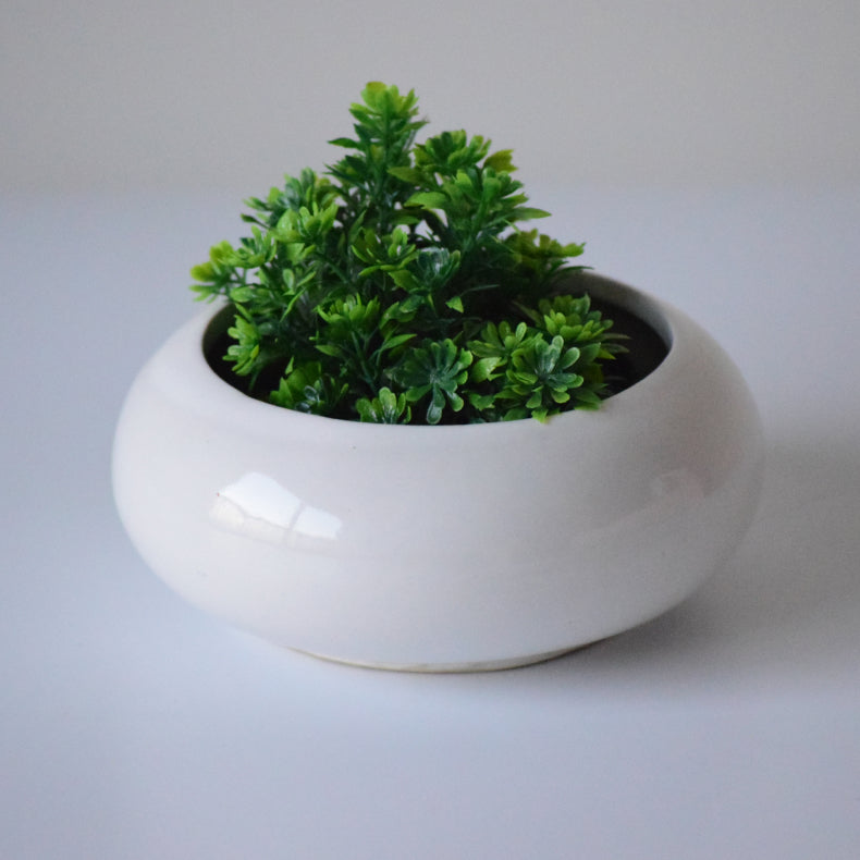 White Ceramic Microgreen Planter Secondary image