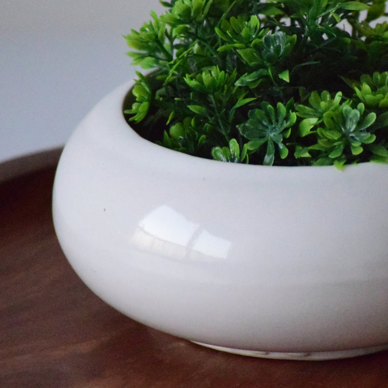 White Ceramic Microgreen Planter