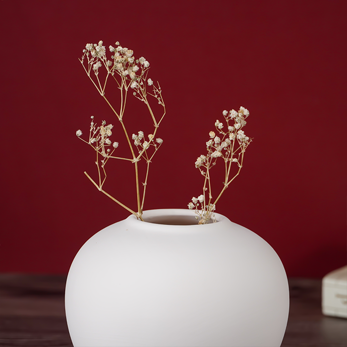 Matte White Ceramic Vase with Smooth Curved Design