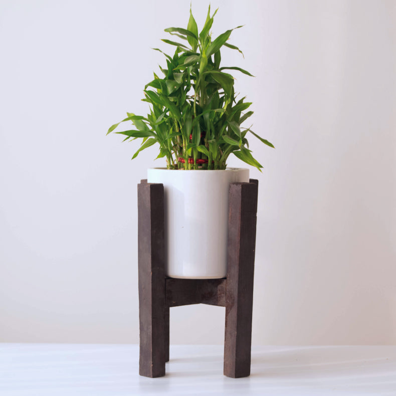 ceramic planter pot