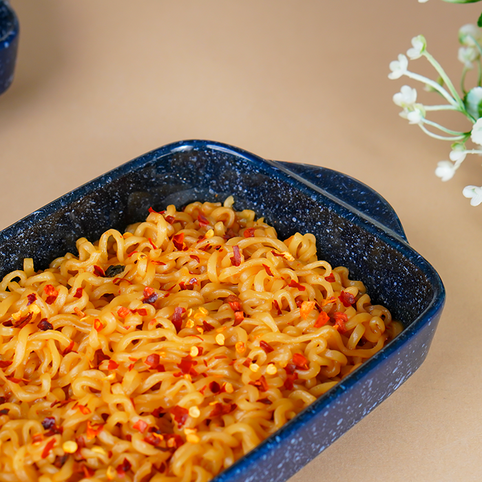 Blue Speckled Ceramic Bakeware