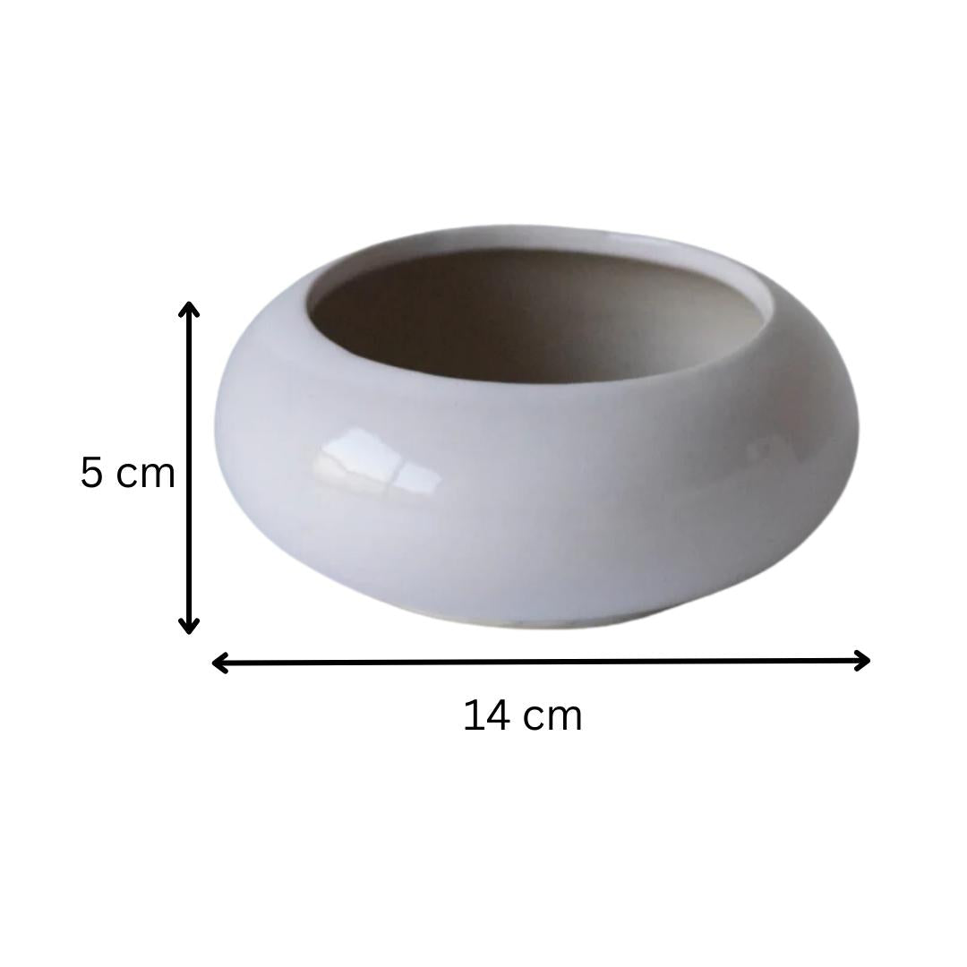 White Ceramic Microgreen Planter