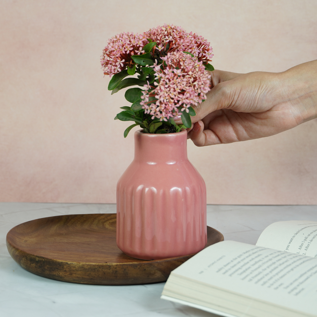 Pastel Pink Ceramic Decorative Vase