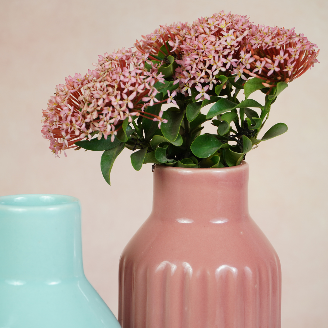 Pastel Pink Ceramic Decorative Vase