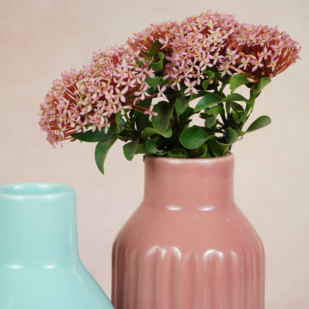 Pastel Pink Ceramic Decorative Vase Secondary image