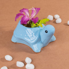 Sky Blue Ceramic Tortoise Succulent Planter