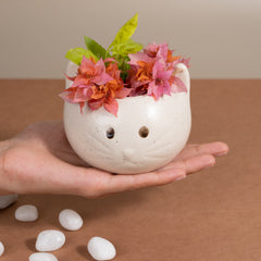 Hello Kitty Planter