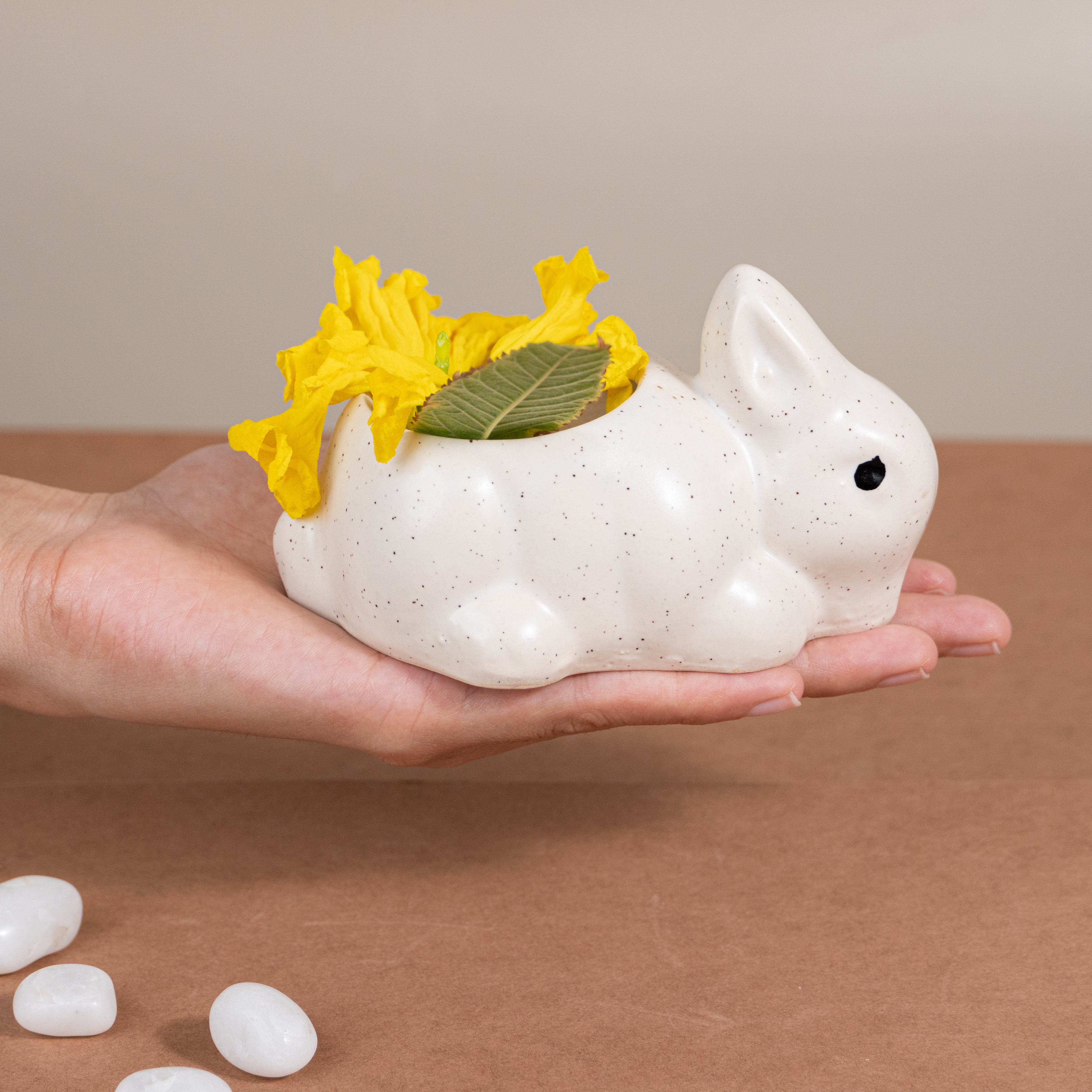 Mini Rabbit Ceramic Planter