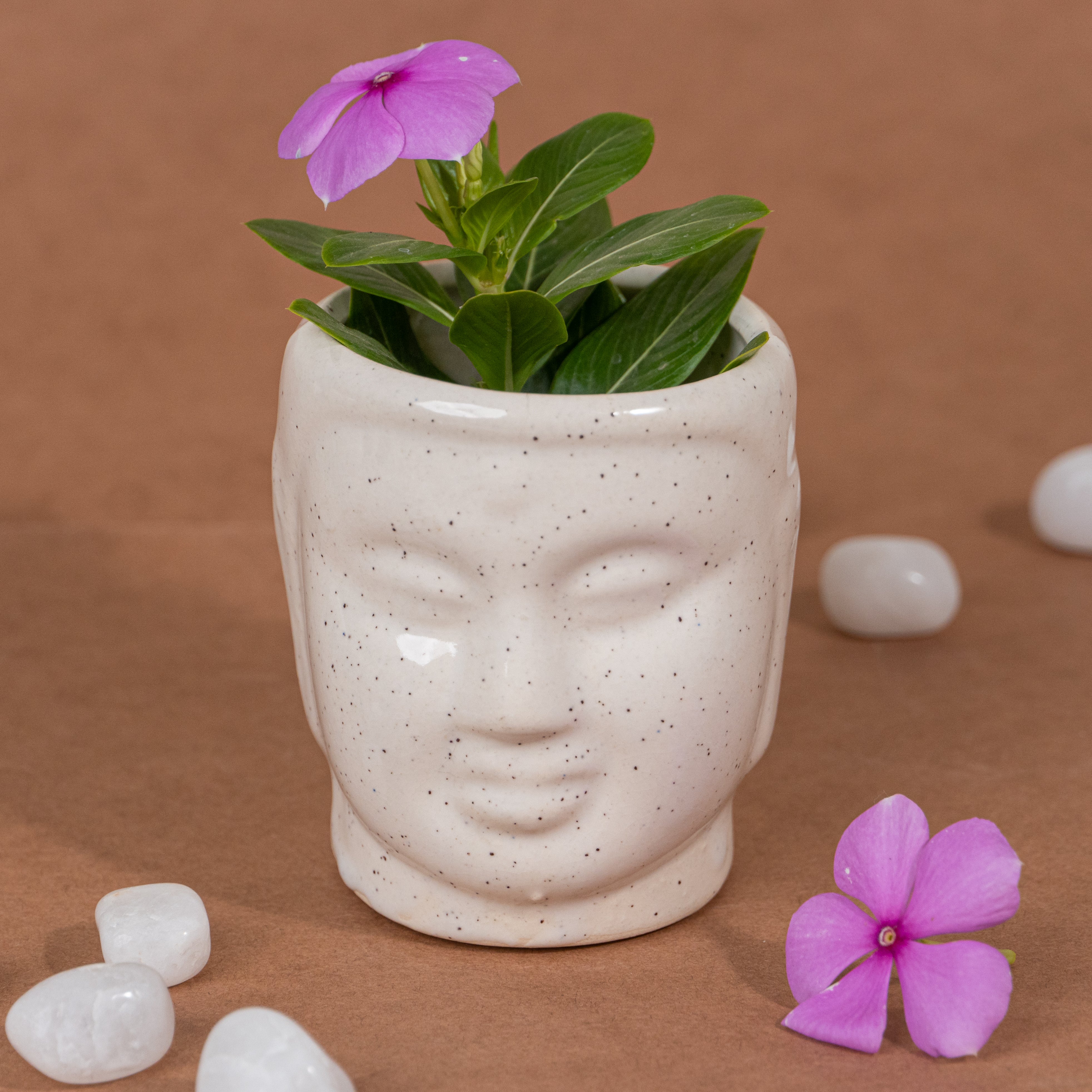 Serene Ceramic Buddha Table Planter