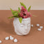 White Ceramic Buddha Planter
