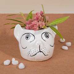 Bulldog Face Ceramic Planter