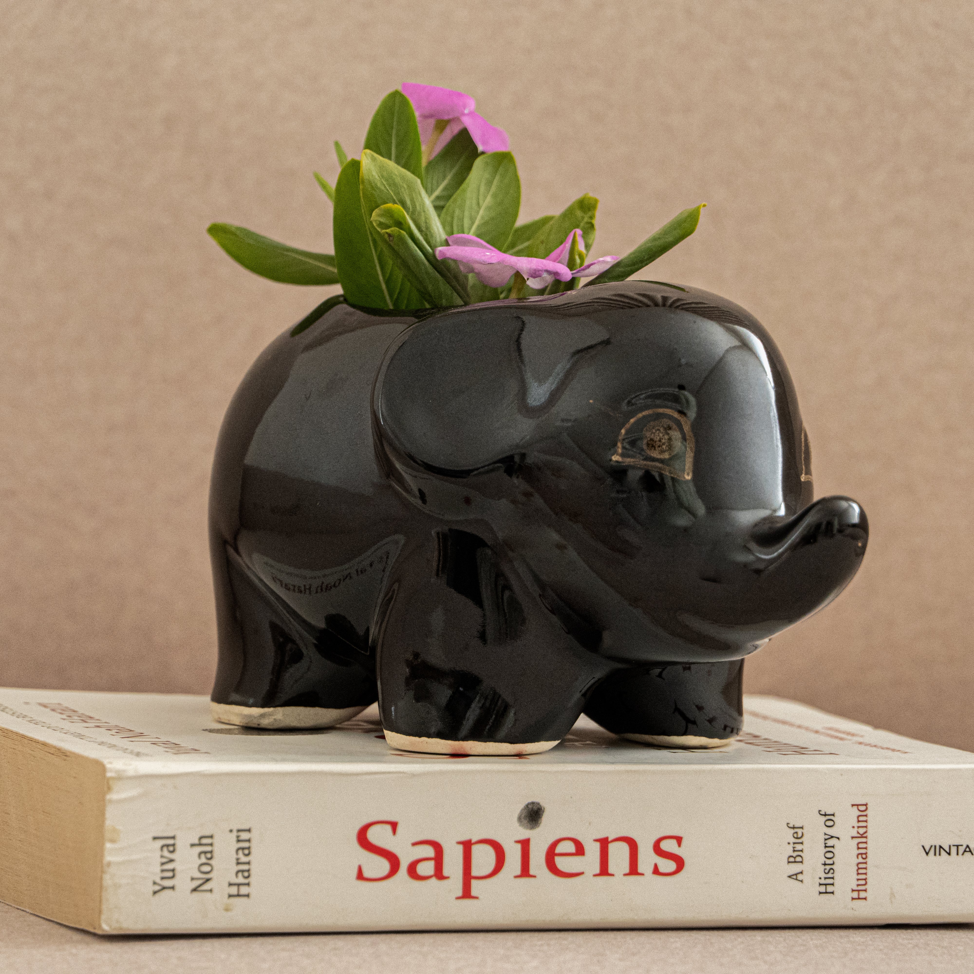 Black Baby Elephant Planter