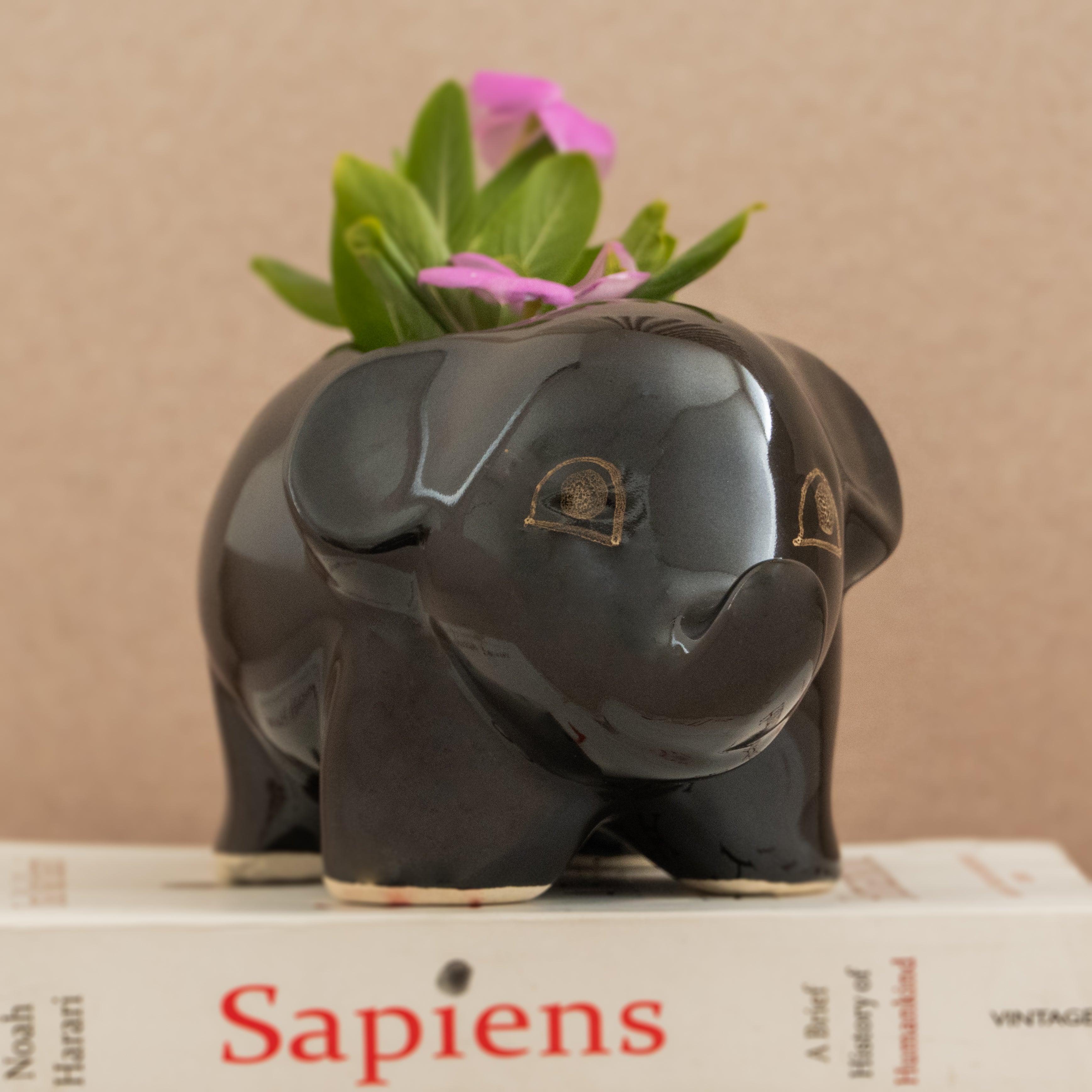 Black Baby Elephant Planter