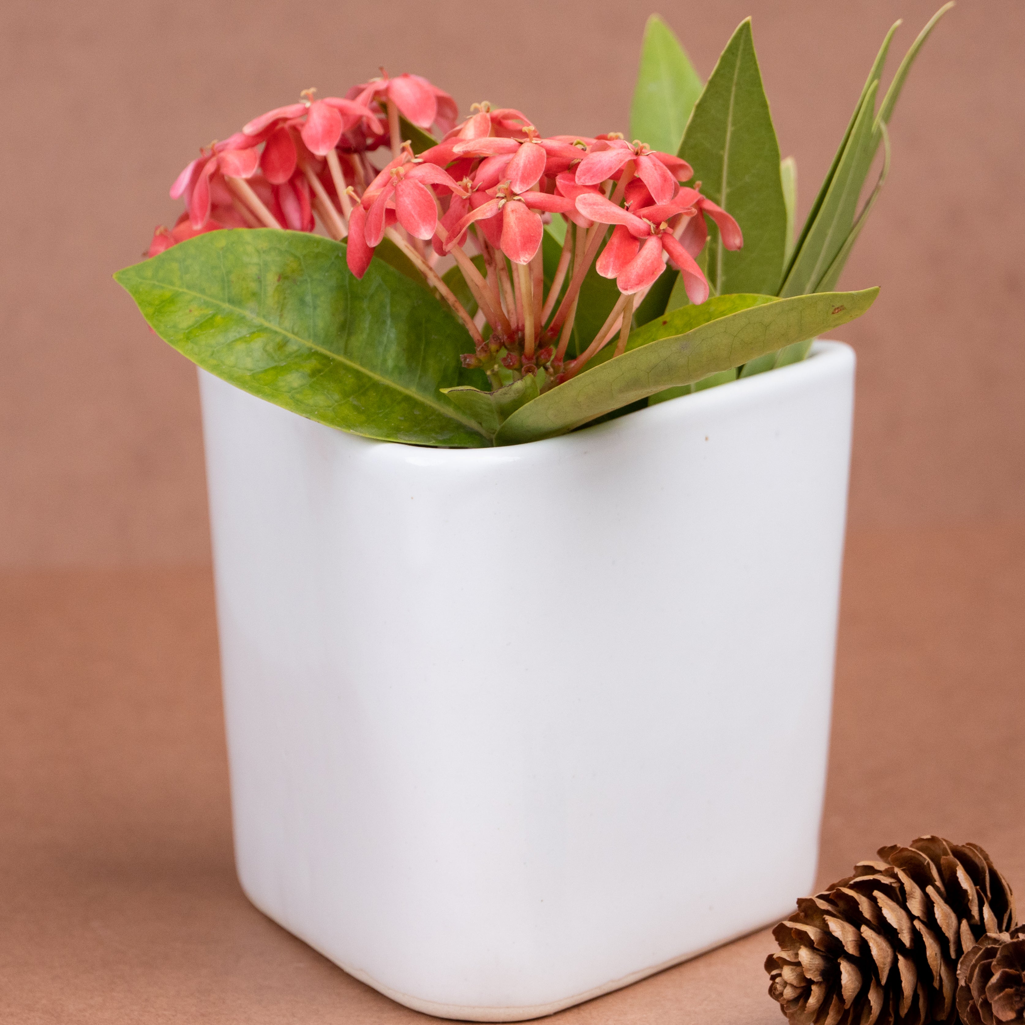 White Ceramic Triangle Planter