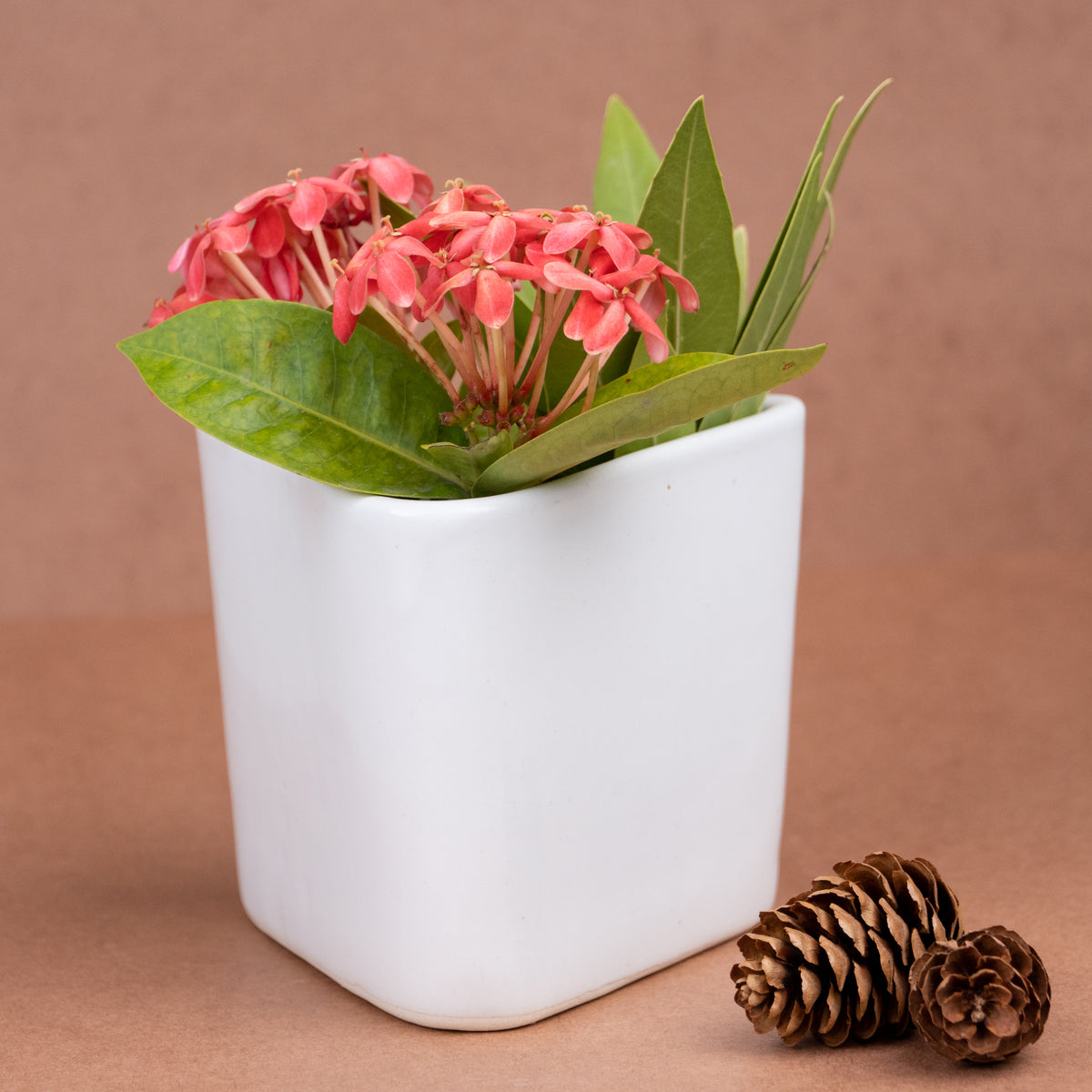 White Ceramic Triangle Planter