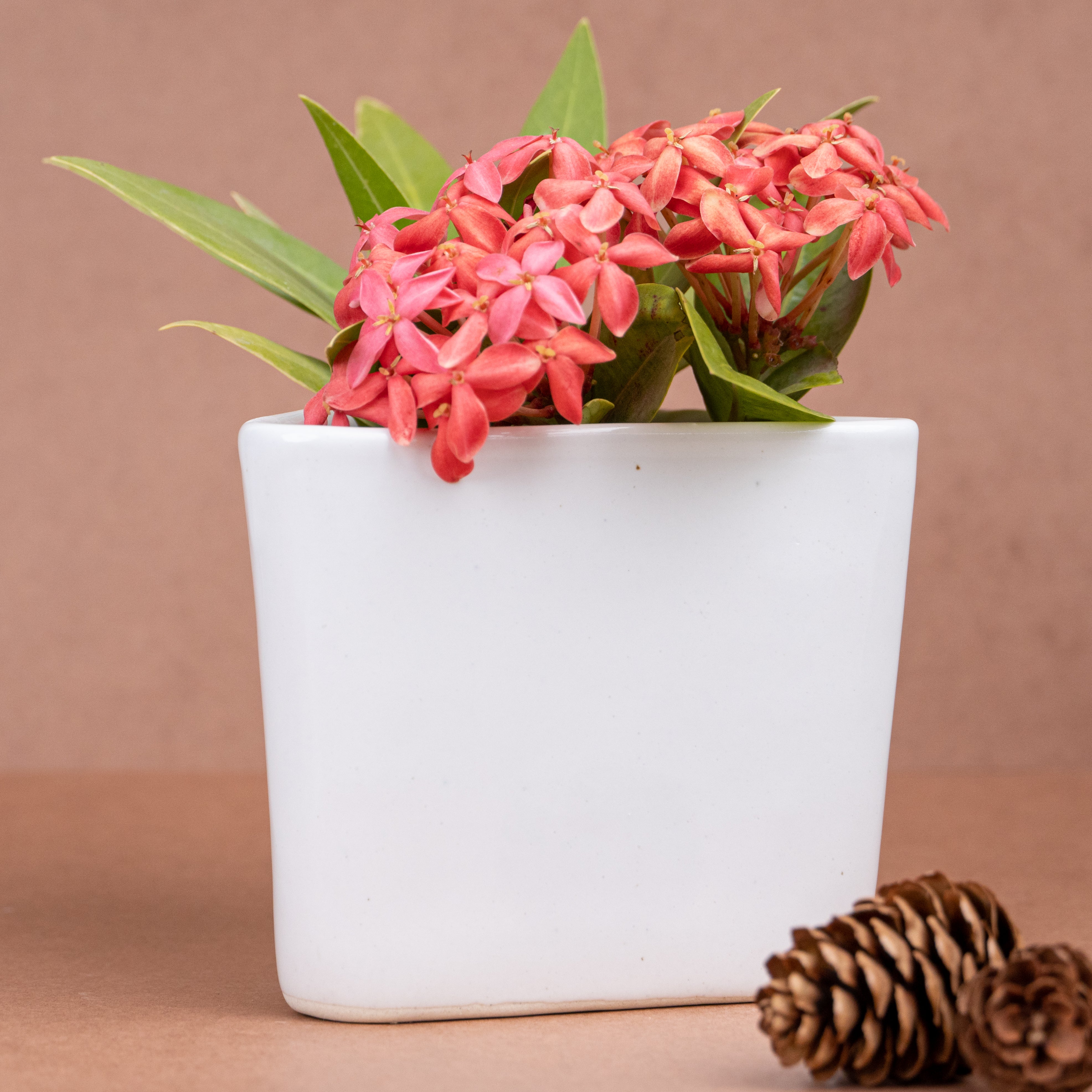 White Ceramic Triangle Planter