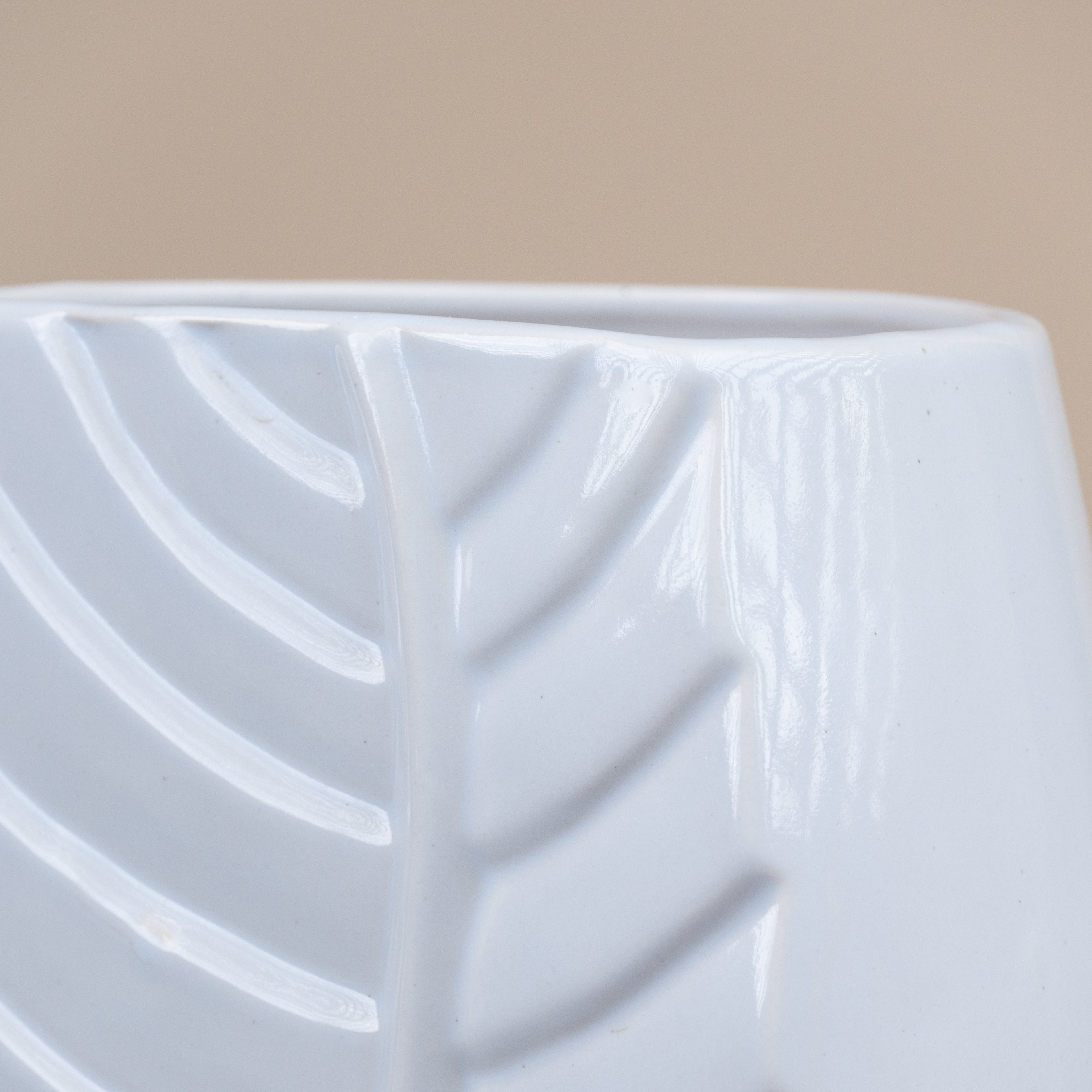 White Color Leaf Shaped Flower Vase