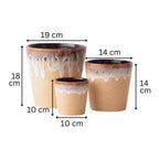 Beige Ceramic Flower Pots | Set of 3 - The Golden Theory