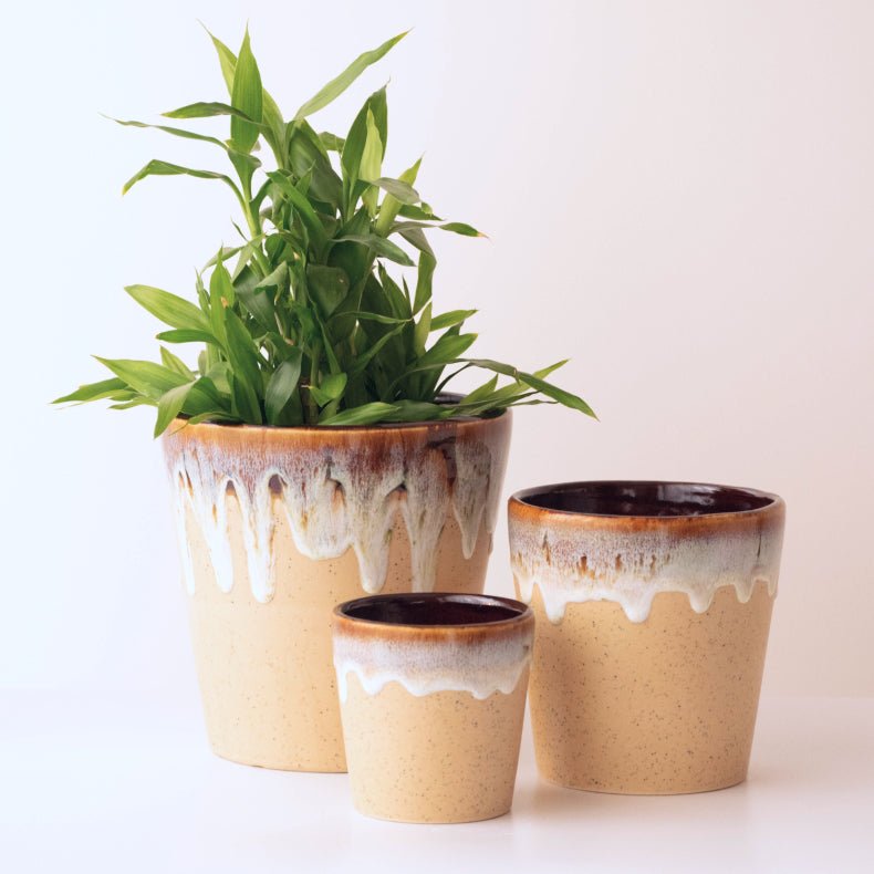 Beige Ceramic Flower Pots | Set of 3 - The Golden Theory