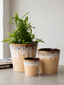 Beige Ceramic Flower Pots | Set of 3 - The Golden Theory