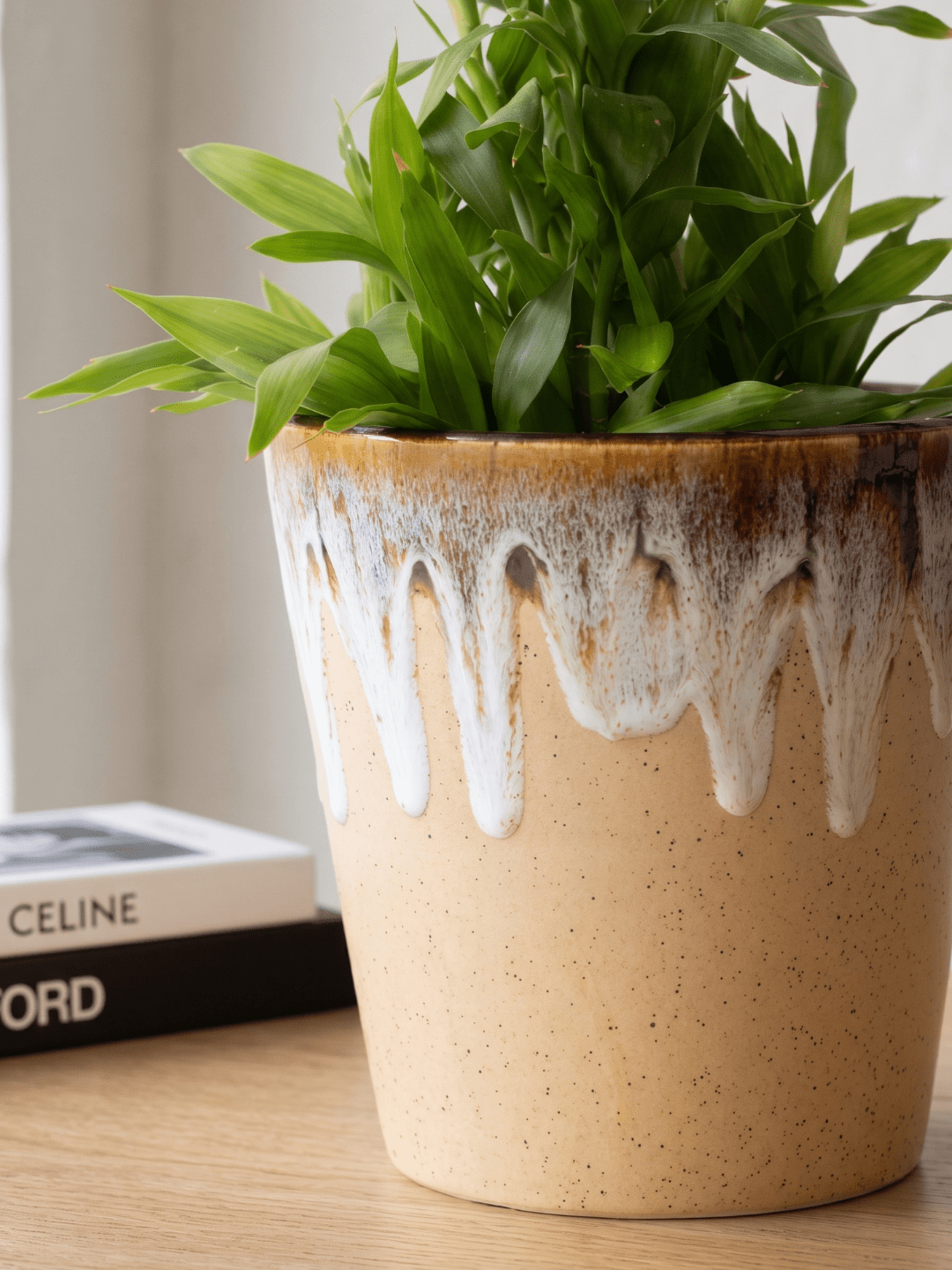 Beige Ceramic Flower Pots | Set of 3 - The Golden Theory