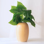 Beige Ceramic Oval Shaped Flower Vase - The Golden Theory