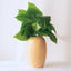 Beige Ceramic Oval Shaped Flower Vase - The Golden Theory