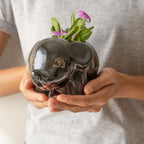 Black Baby Elephant Planter - The Golden Theory