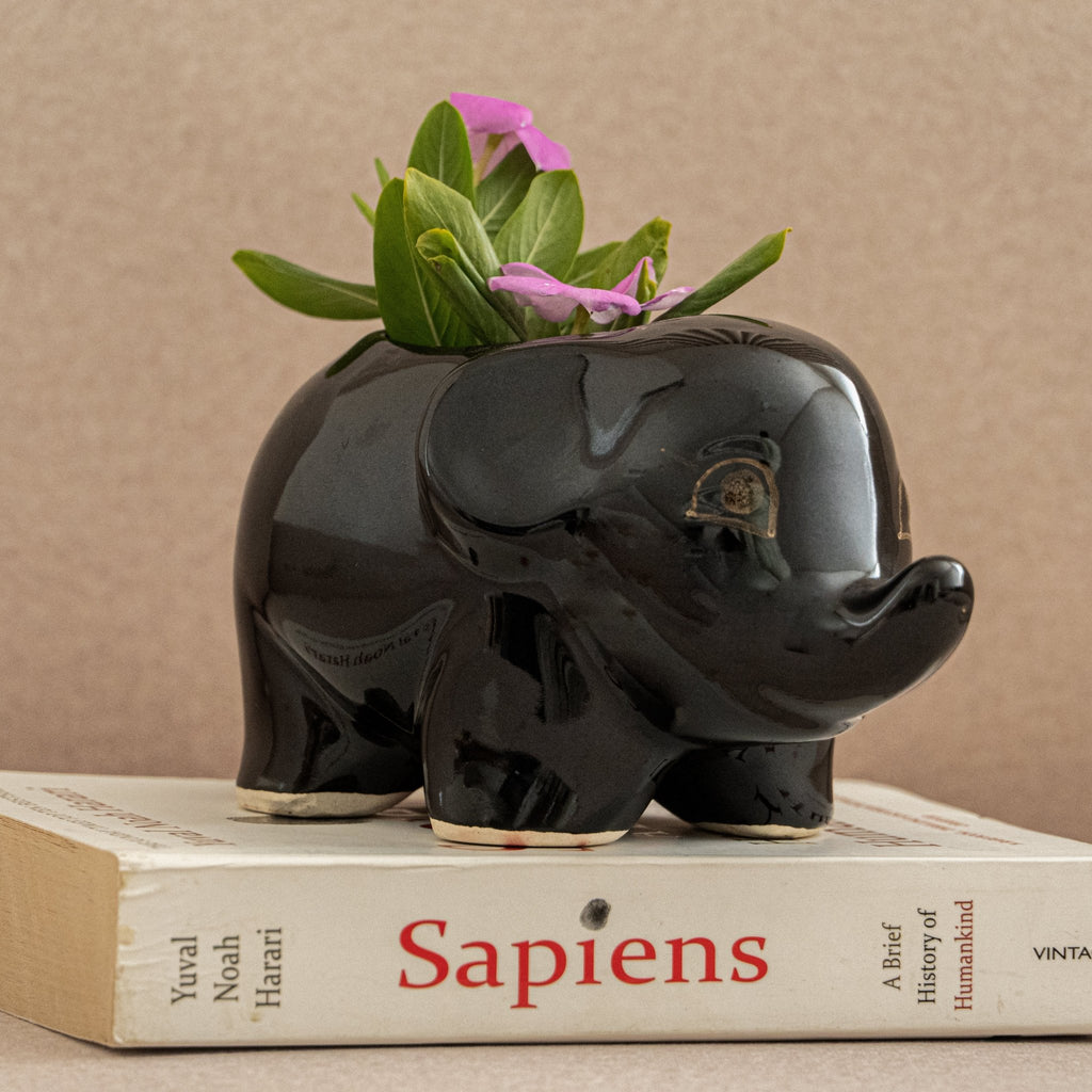 Black Baby Elephant Planter - The Golden Theory