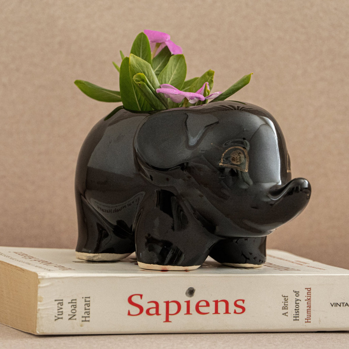 Black Baby Elephant Planter - The Golden Theory