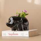 Black Baby Elephant Planter - The Golden Theory