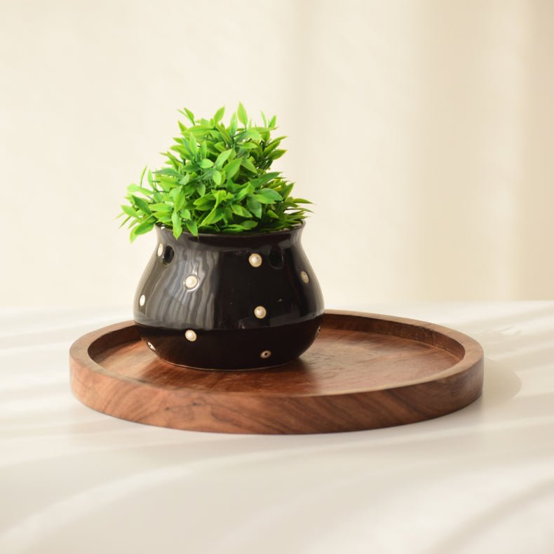 Black Ceramic Matka Shaped Planter - The Golden Theory Main image