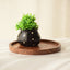 Black Ceramic Matka Shaped Planter - The Golden Theory