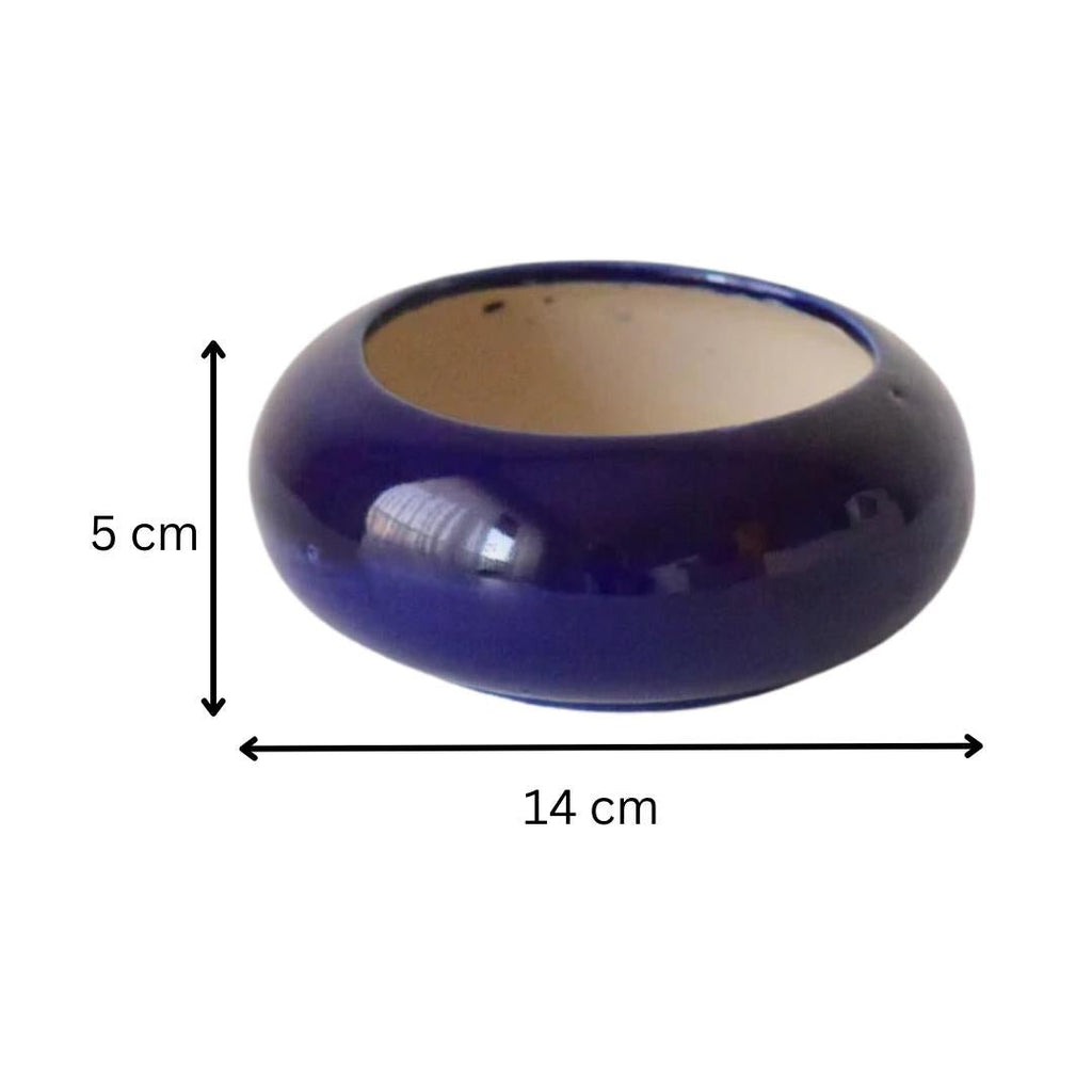 Blue Ceramic Microgreen Planter - The Golden Theory