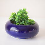 Blue Ceramic Microgreen Planter - The Golden Theory