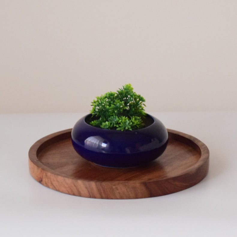 Blue Ceramic Microgreen Planter - The Golden Theory Main image