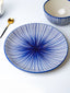 Blue Floral Hand-Painted Ceramic Dinner Plate - The Golden Theory