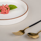 Bougee Beige 10'' Plate with Solid Border - The Golden Theory