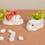 Dog Ceramic Succulent Planter - The Golden Theory