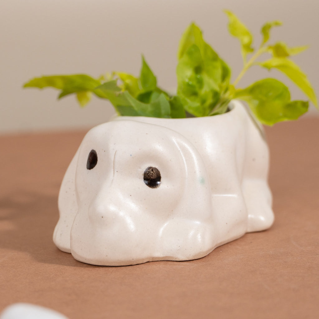 Dog Ceramic Succulent Planter - The Golden Theory