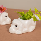 Dog Ceramic Succulent Planter - The Golden Theory