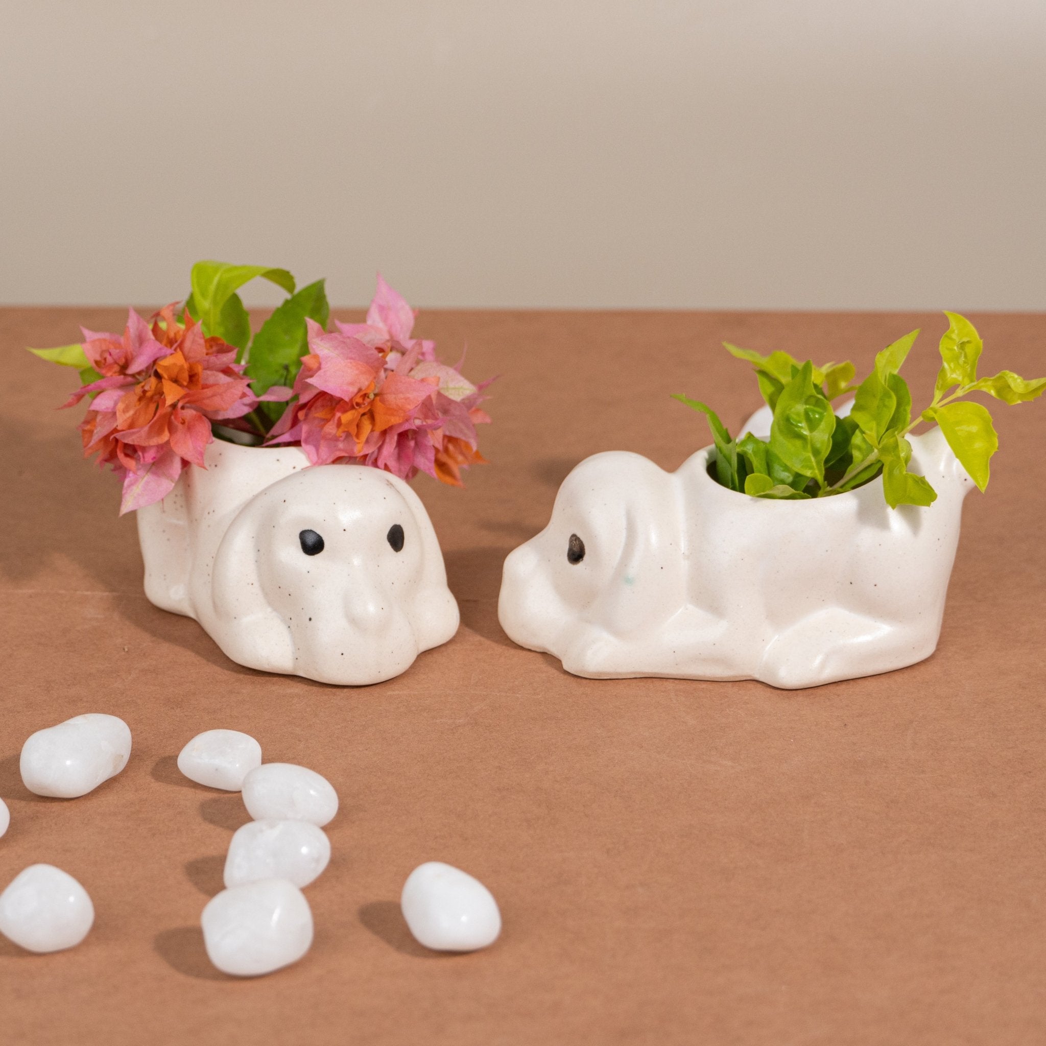 Dog Ceramic Succulent Planter - The Golden Theory