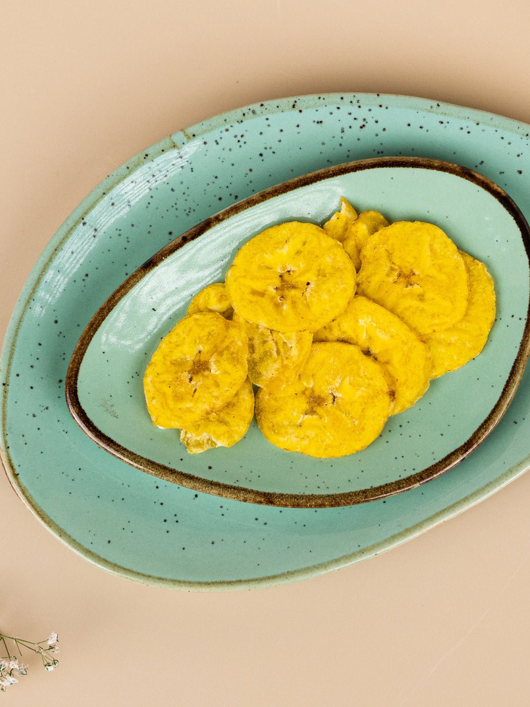 Green Ceramic Oval Shaped Platter | Set of 2 - The Golden Theory