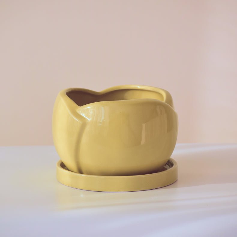 Green Ceramic Planter with Bottom Tray Secondary image