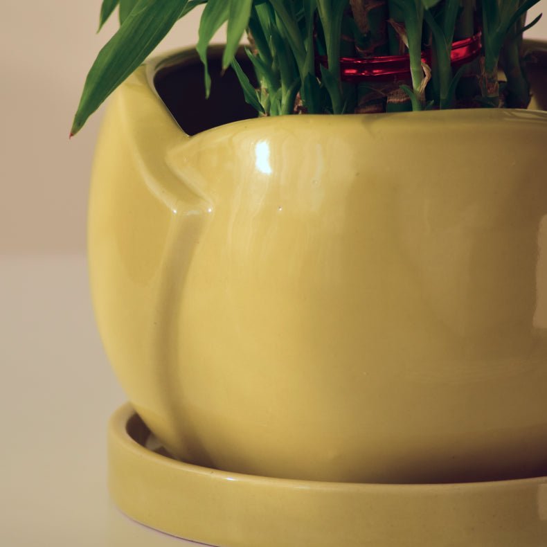 Green Ceramic Planter with Bottom Tray - The Golden Theory