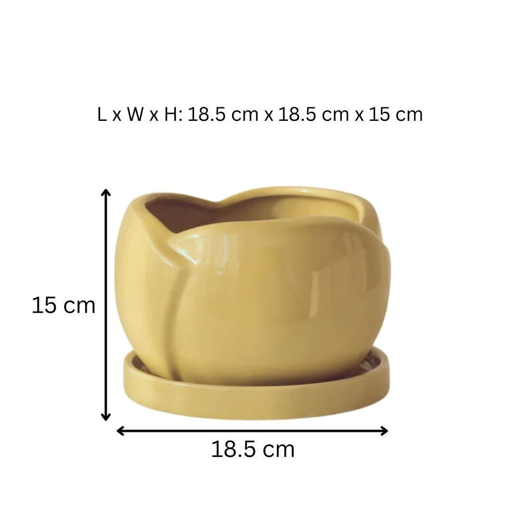 Green Ceramic Planter with Bottom Tray - The Golden Theory