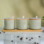 Green Textured Canister Set with Bamboo Lids and Tray Set of 3 - The Golden Theory