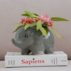 Grey Baby Elephant Planter - The Golden Theory